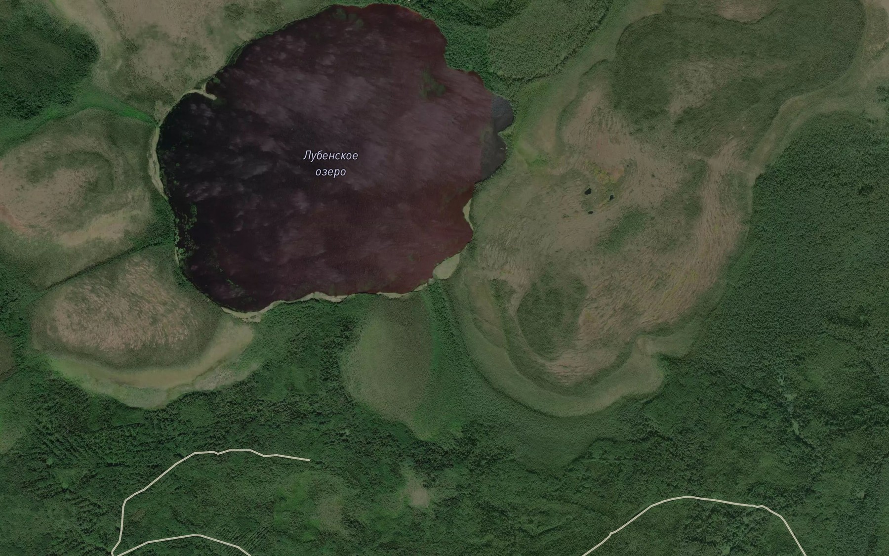 Satellite map of the Lagutoshnyy