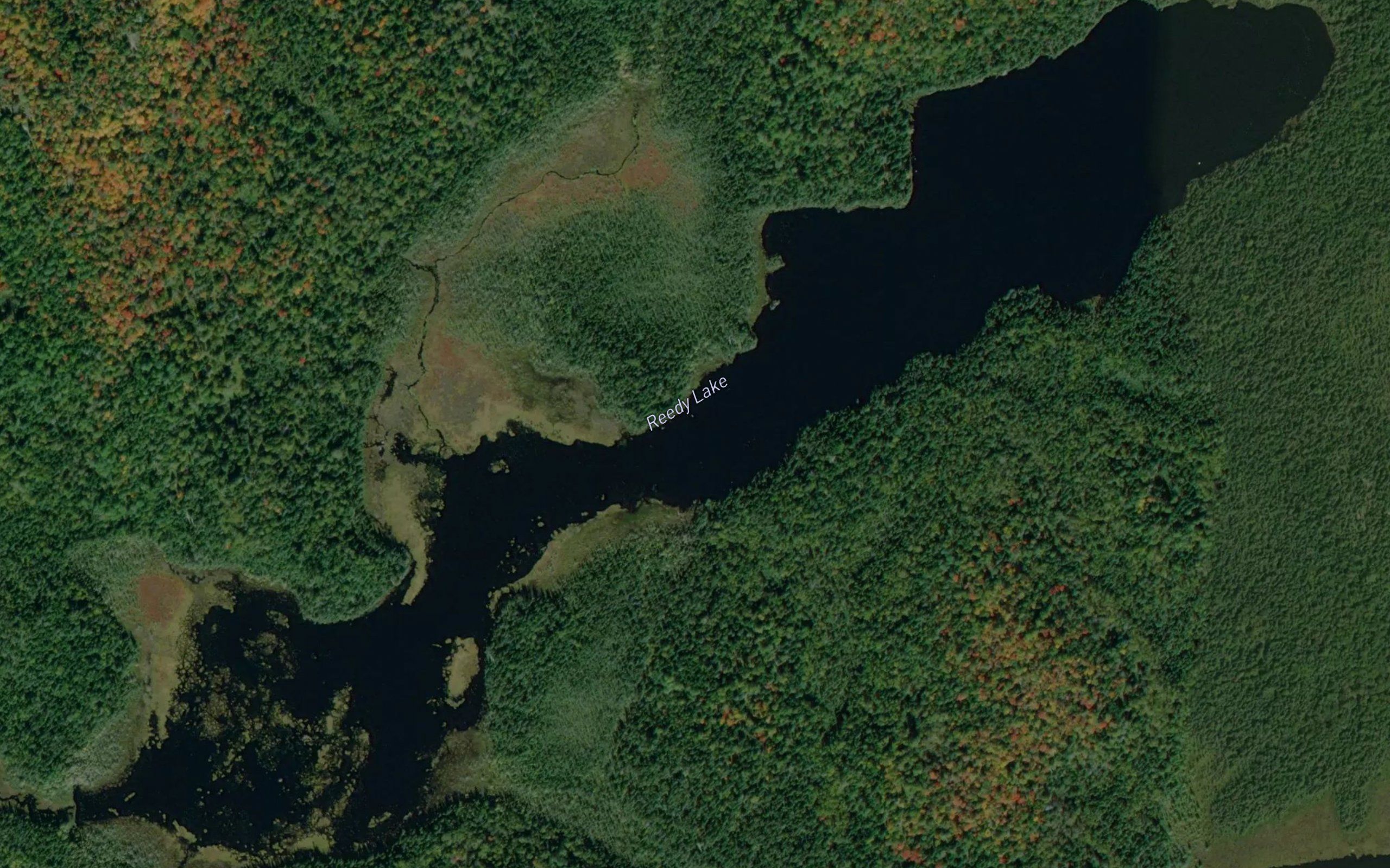 Reedy Lake