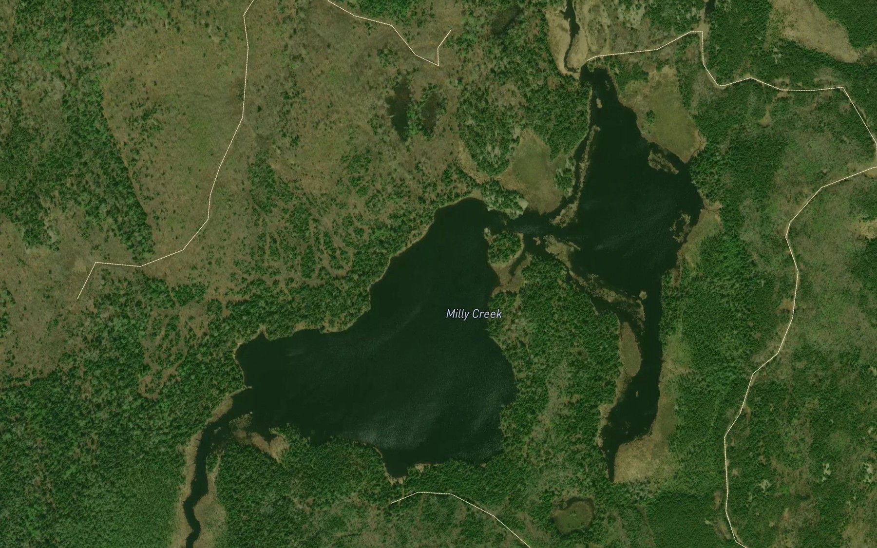 Satellite map of the Milly Lake