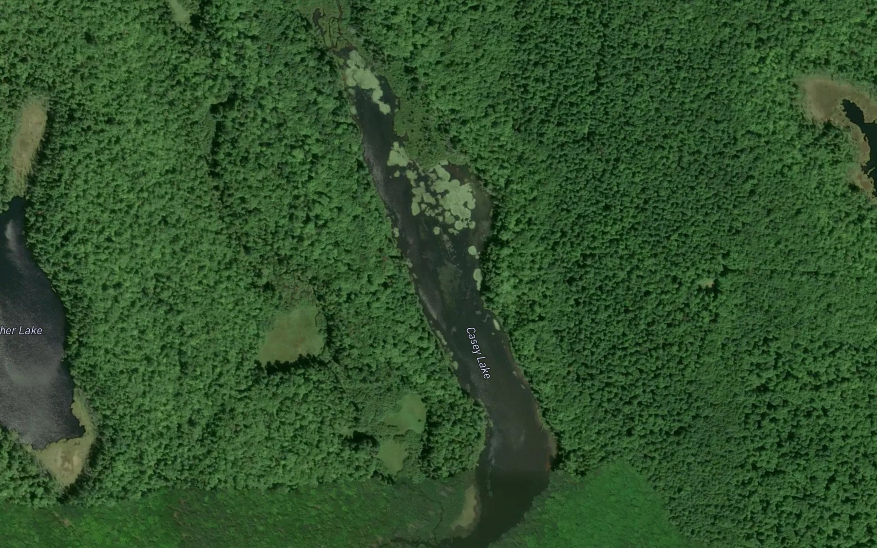 Satellite map of the Casey Lake
