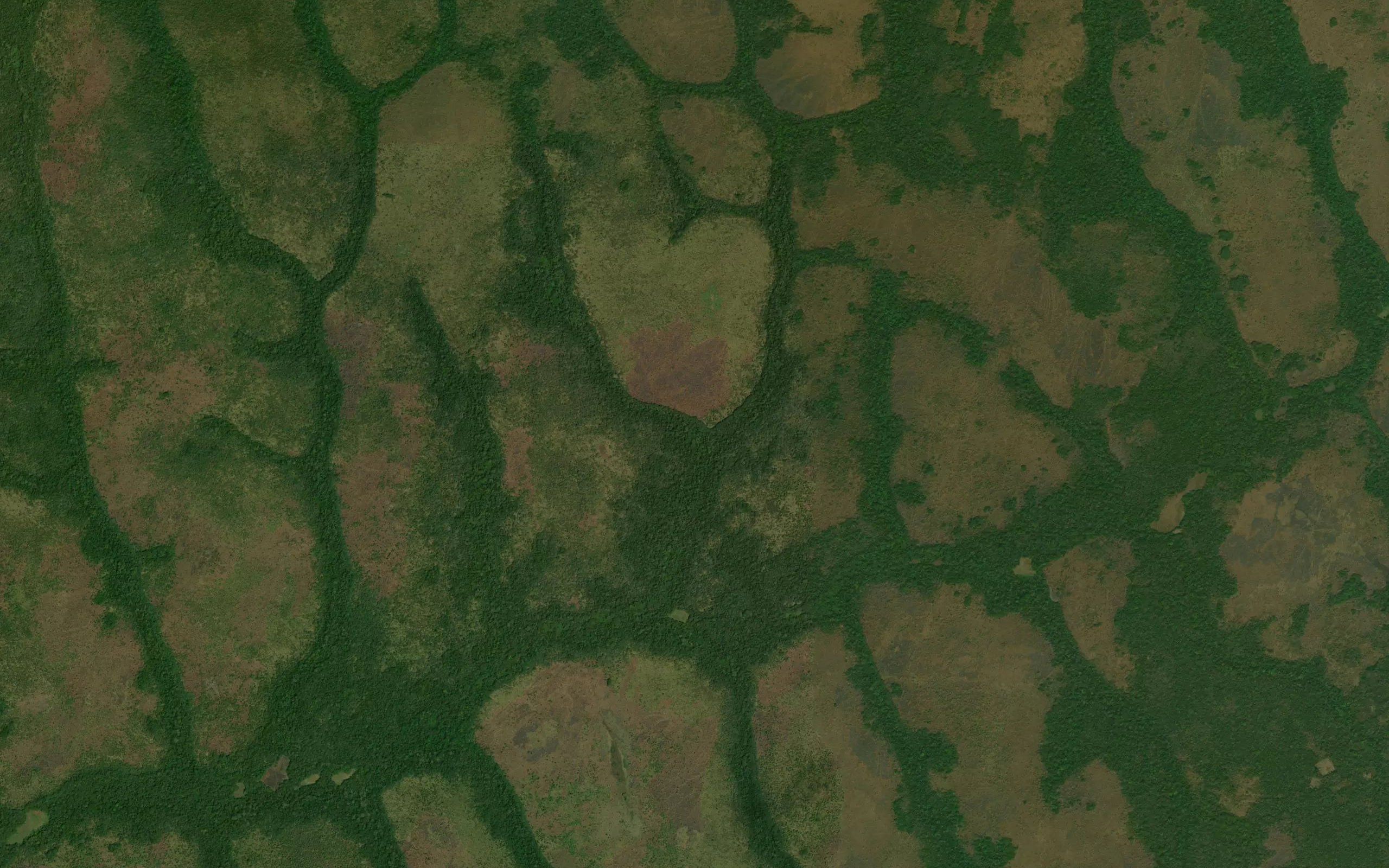 Nasakalambia