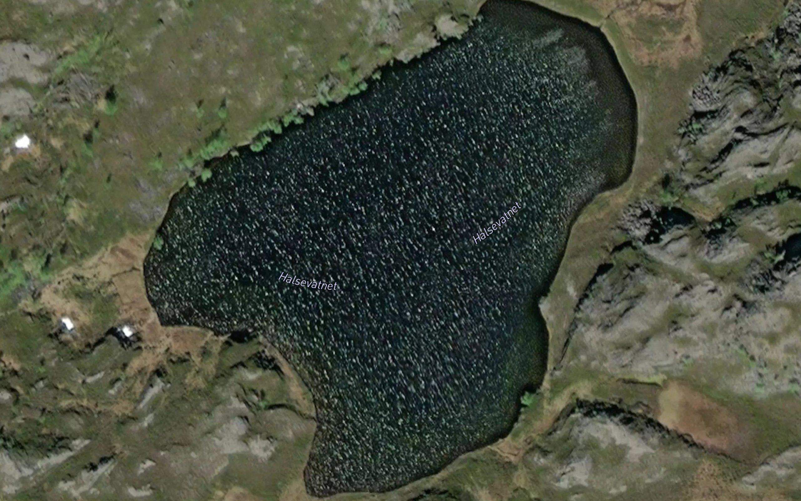 Halsevatnet