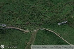 Kolkiy