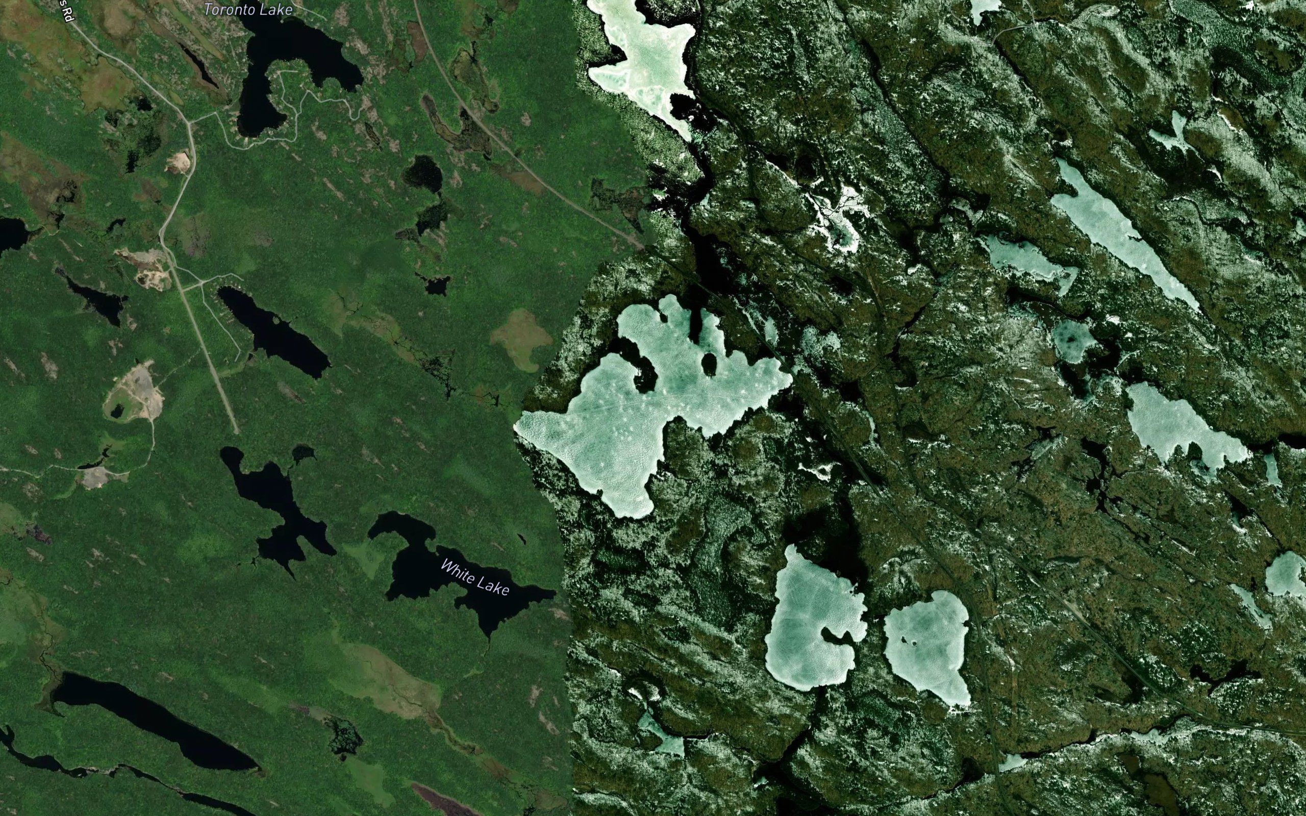 Roderick Lake
