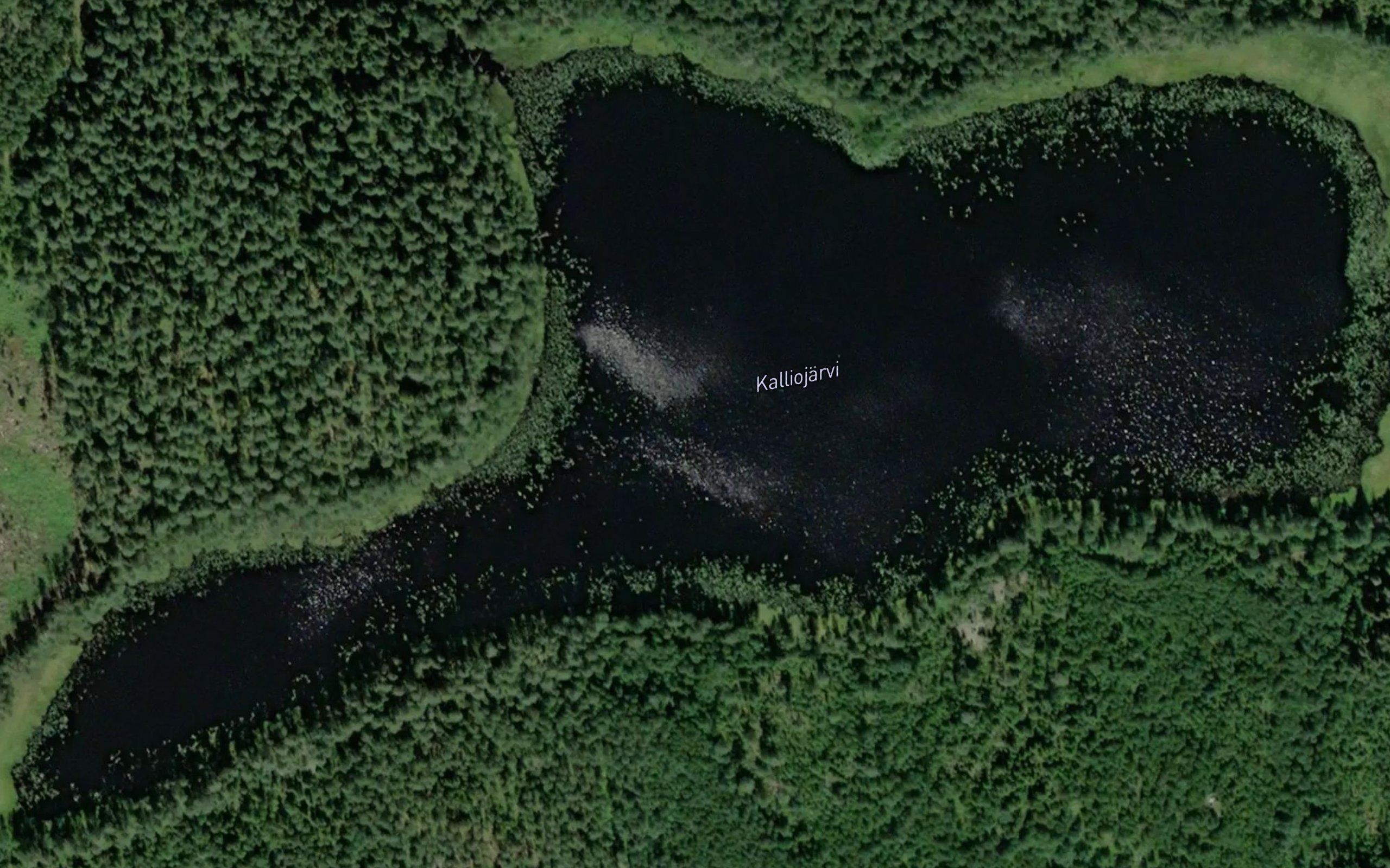 Kalliojarvi
