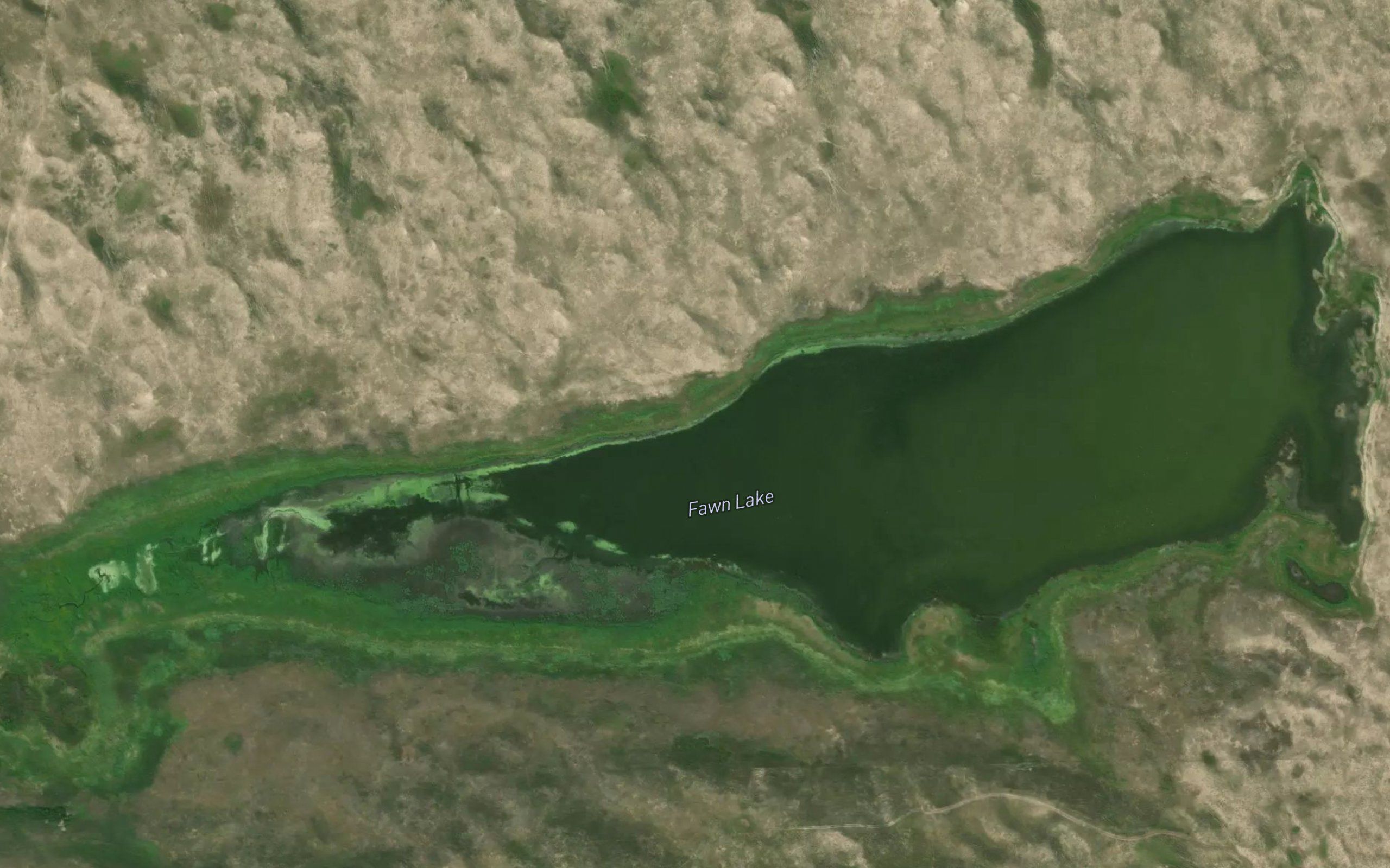 Fawn Lake