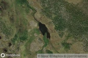 Hovdtjorna