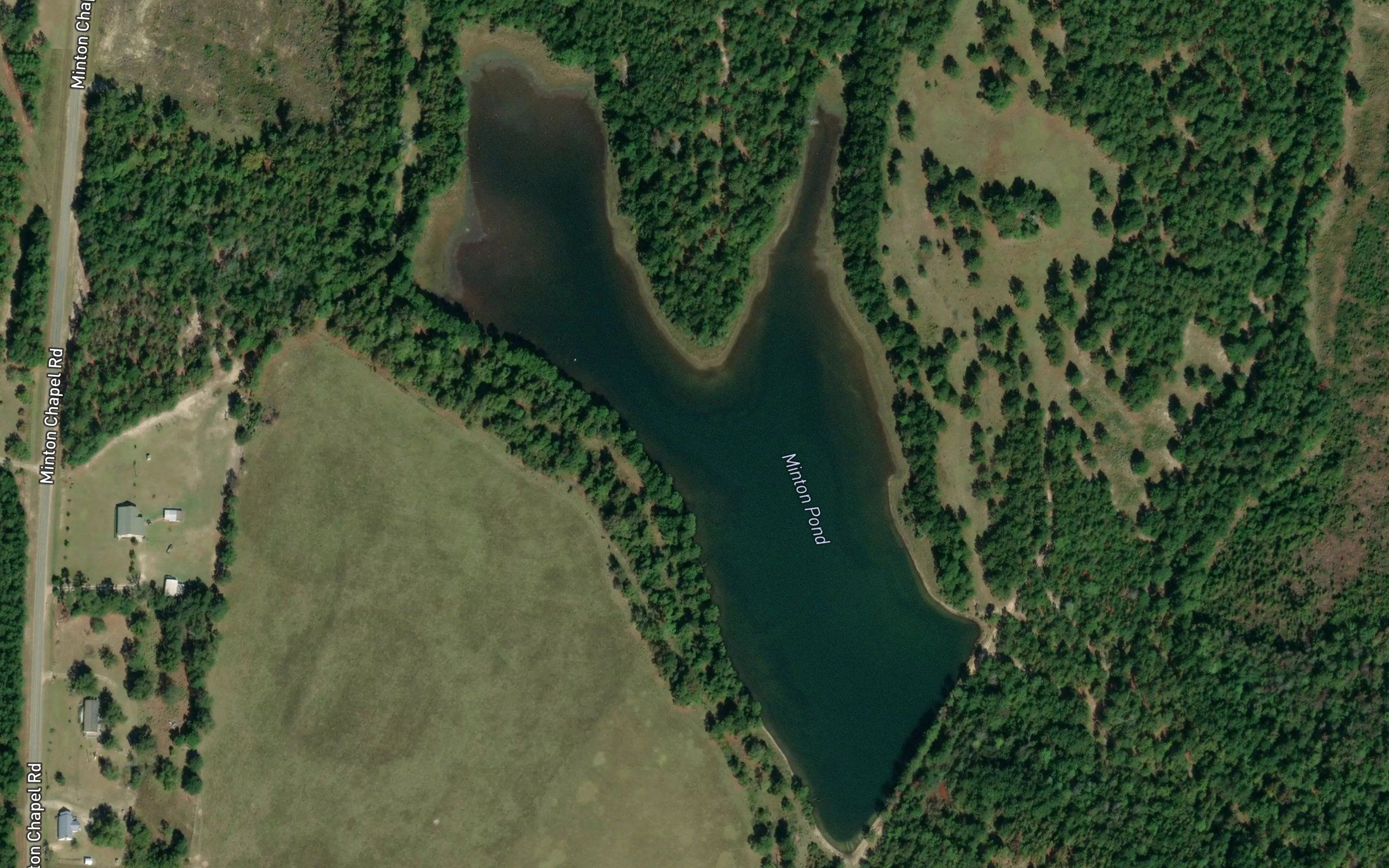 Minton Pond