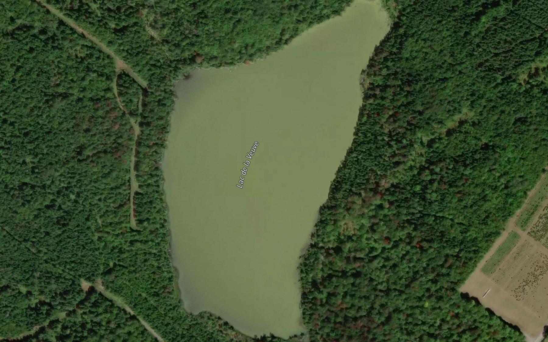 Satellite map of the Lac de la Veuve