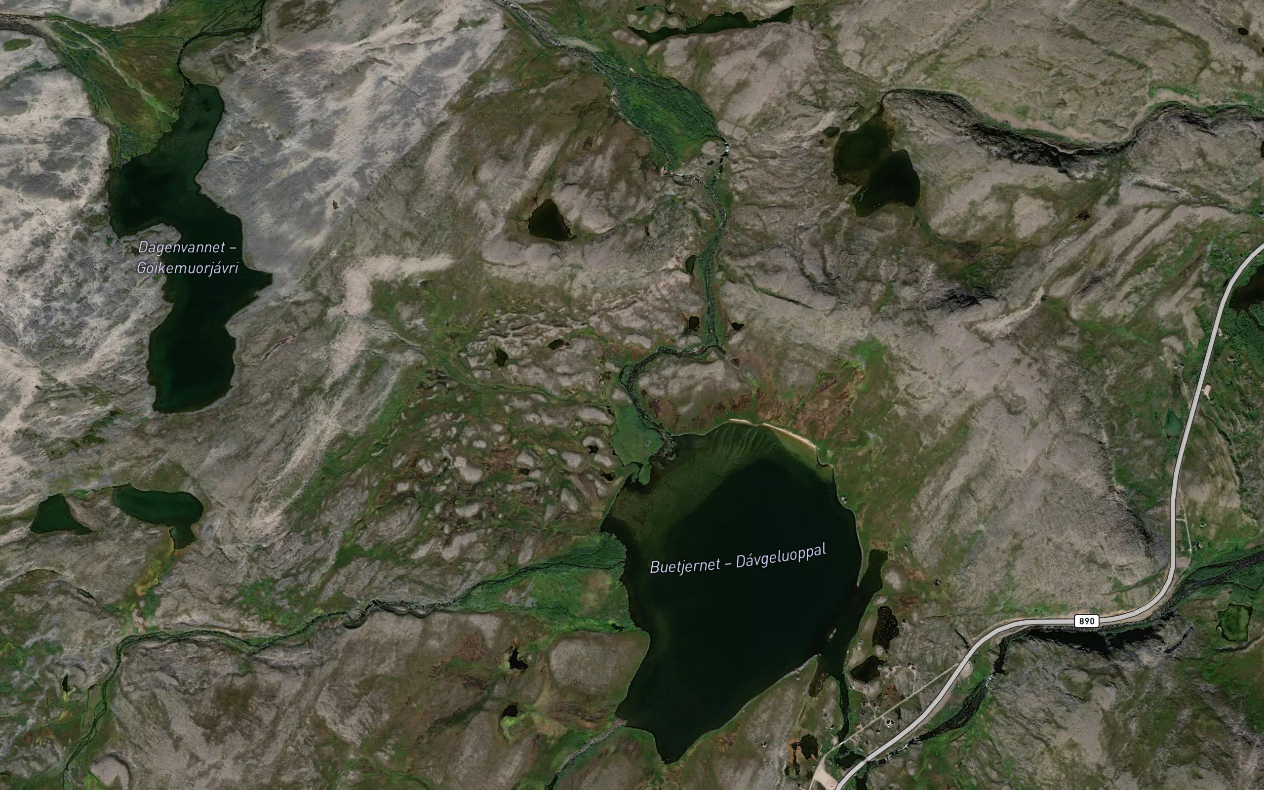 Dagenelva