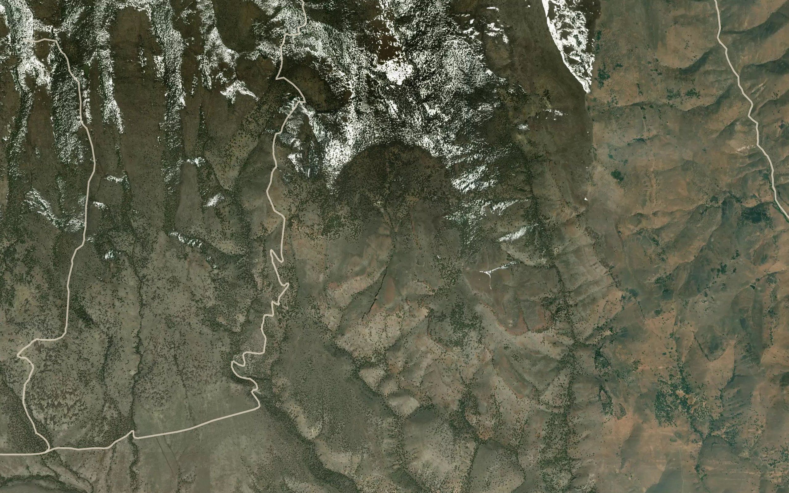 Forest Reservoir