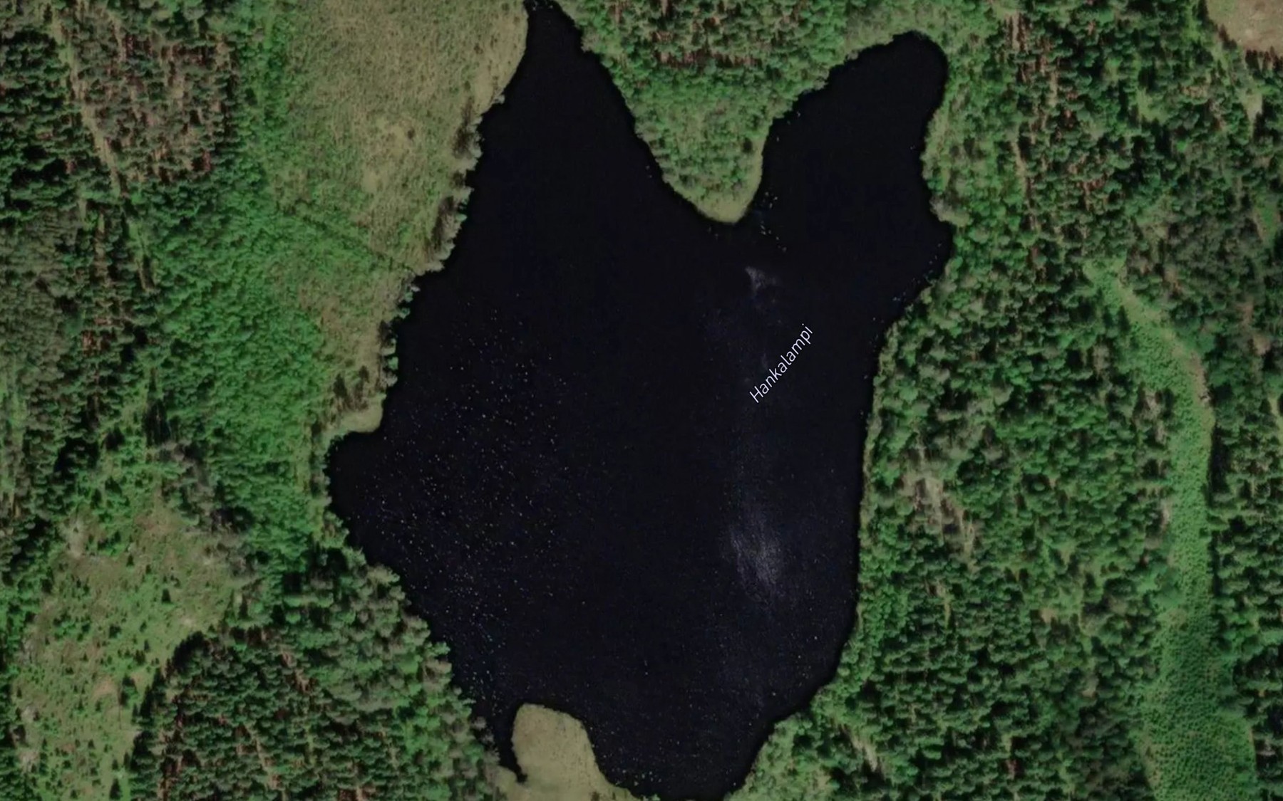 Satellite map of the Hankalampi