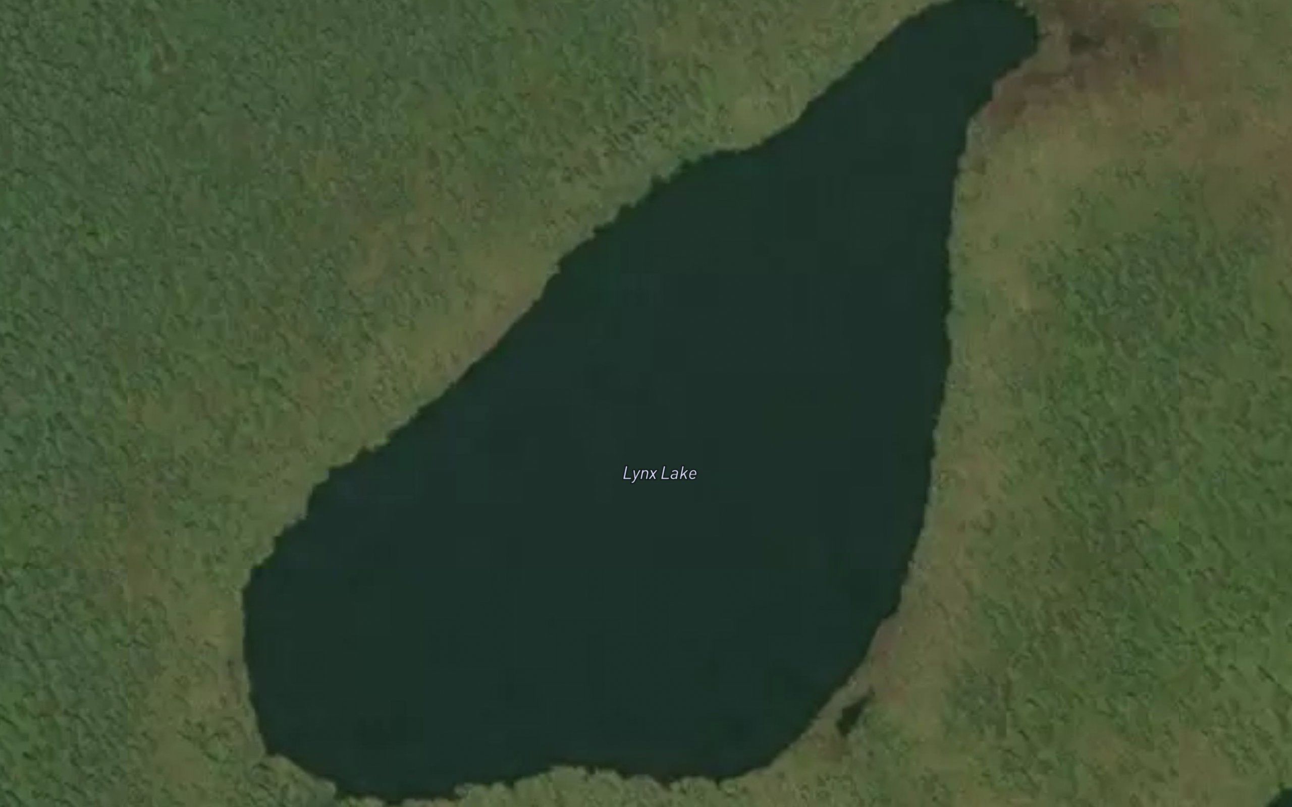 Lynx Lake