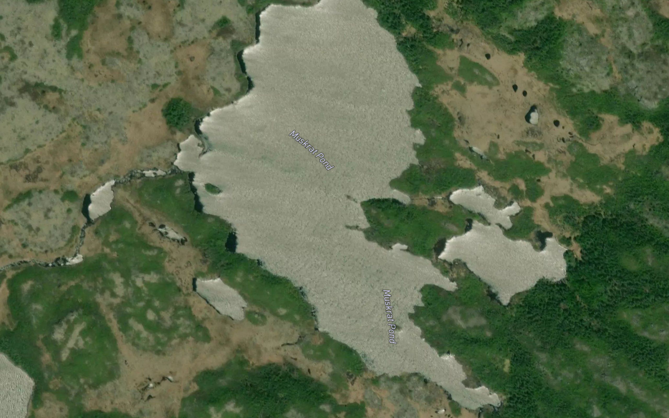 Muskrat Pond