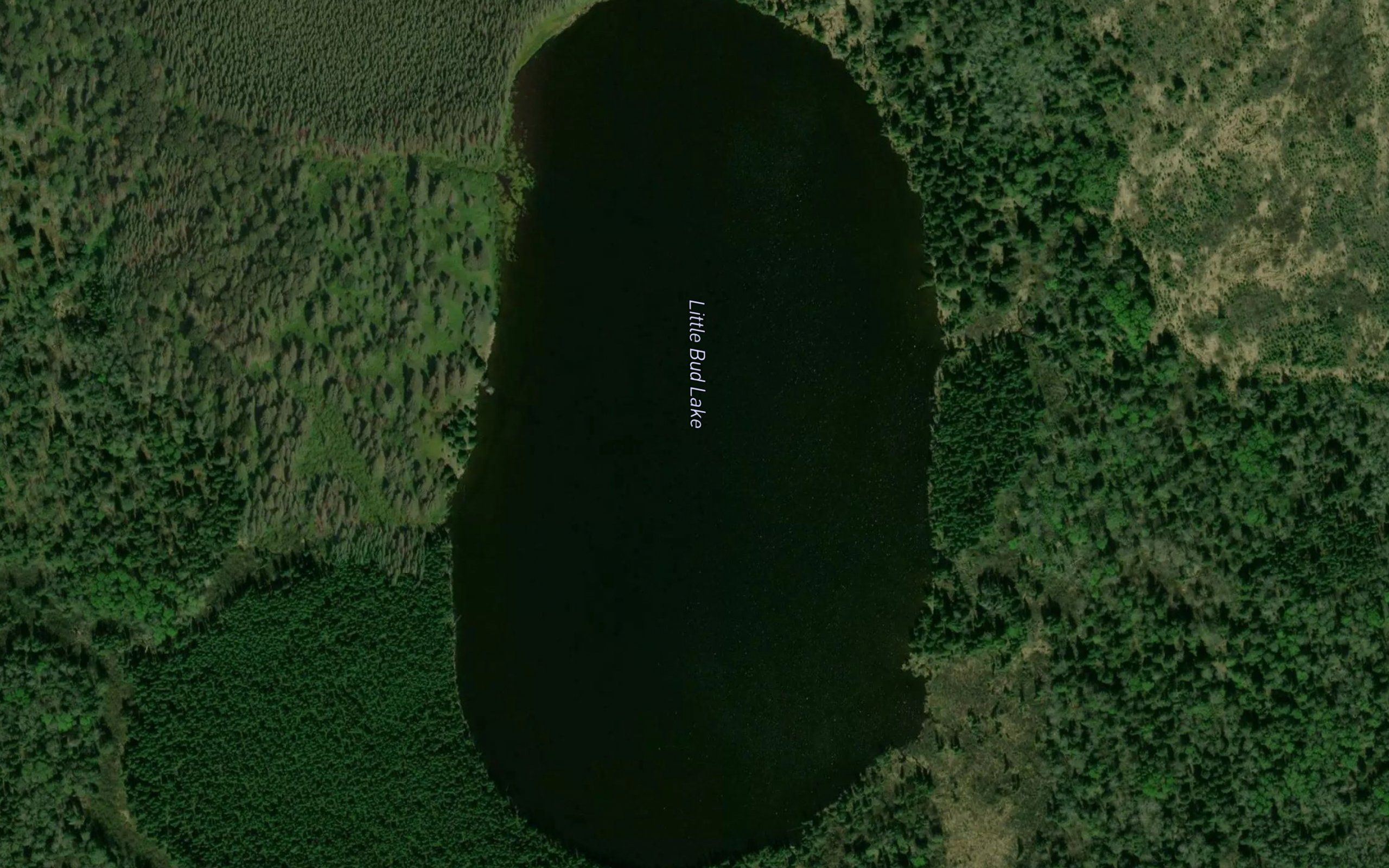 Little Bud Lake