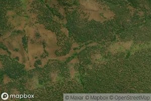 Kaboko
