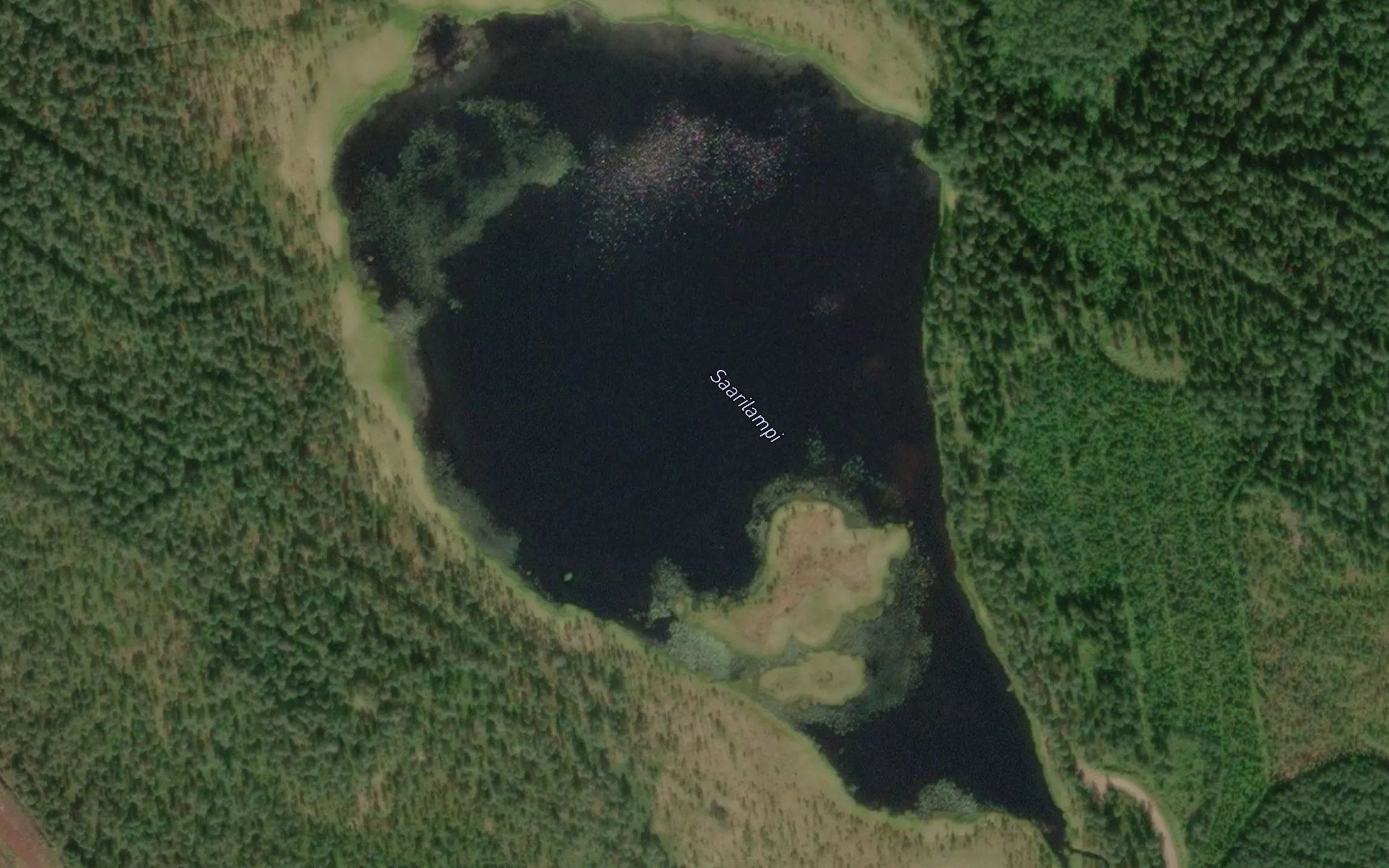 Saarilampi