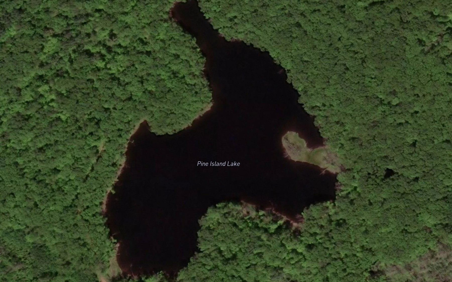 Satellite map of the Pine Island Lake