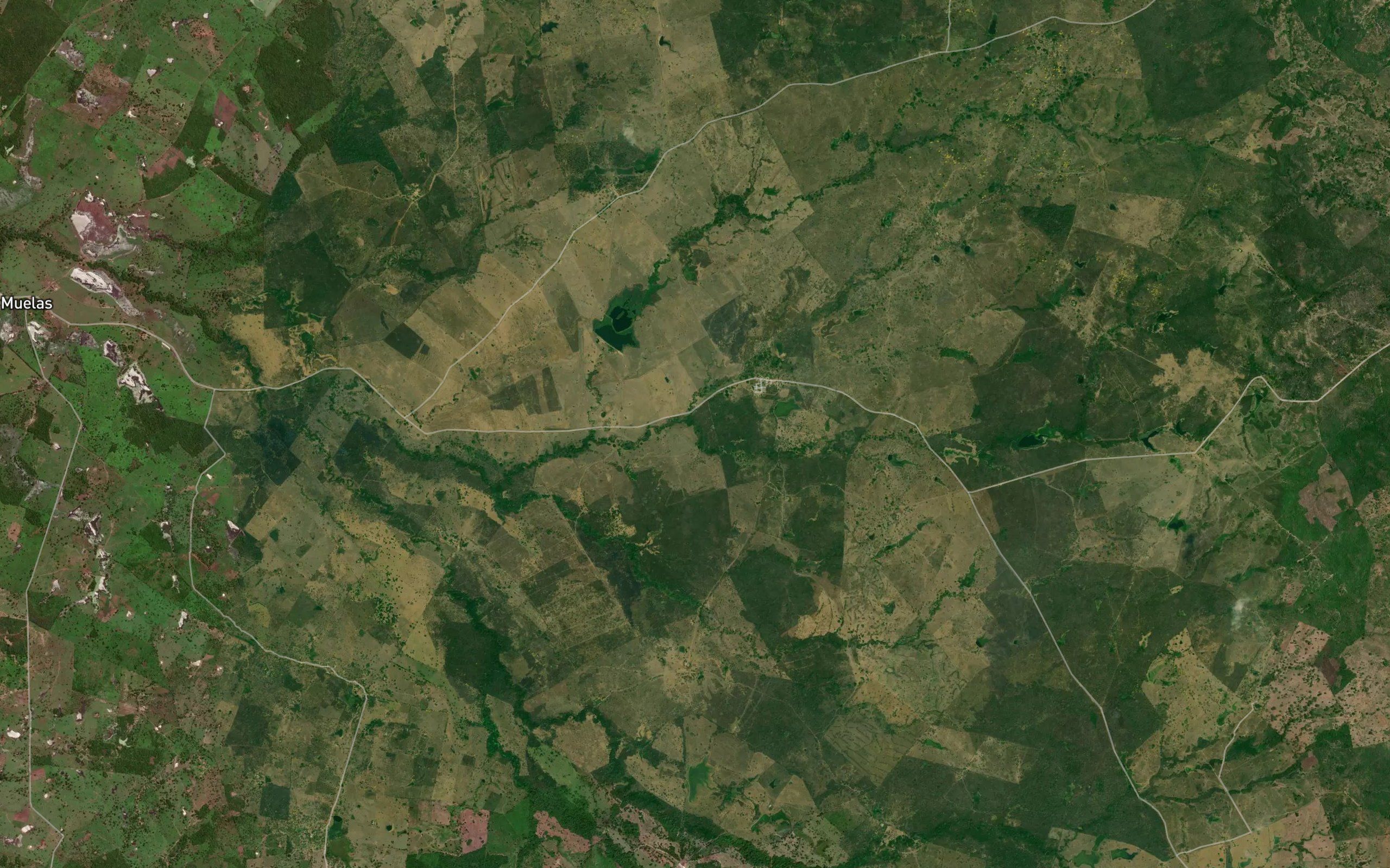 Arroyo Orinoco