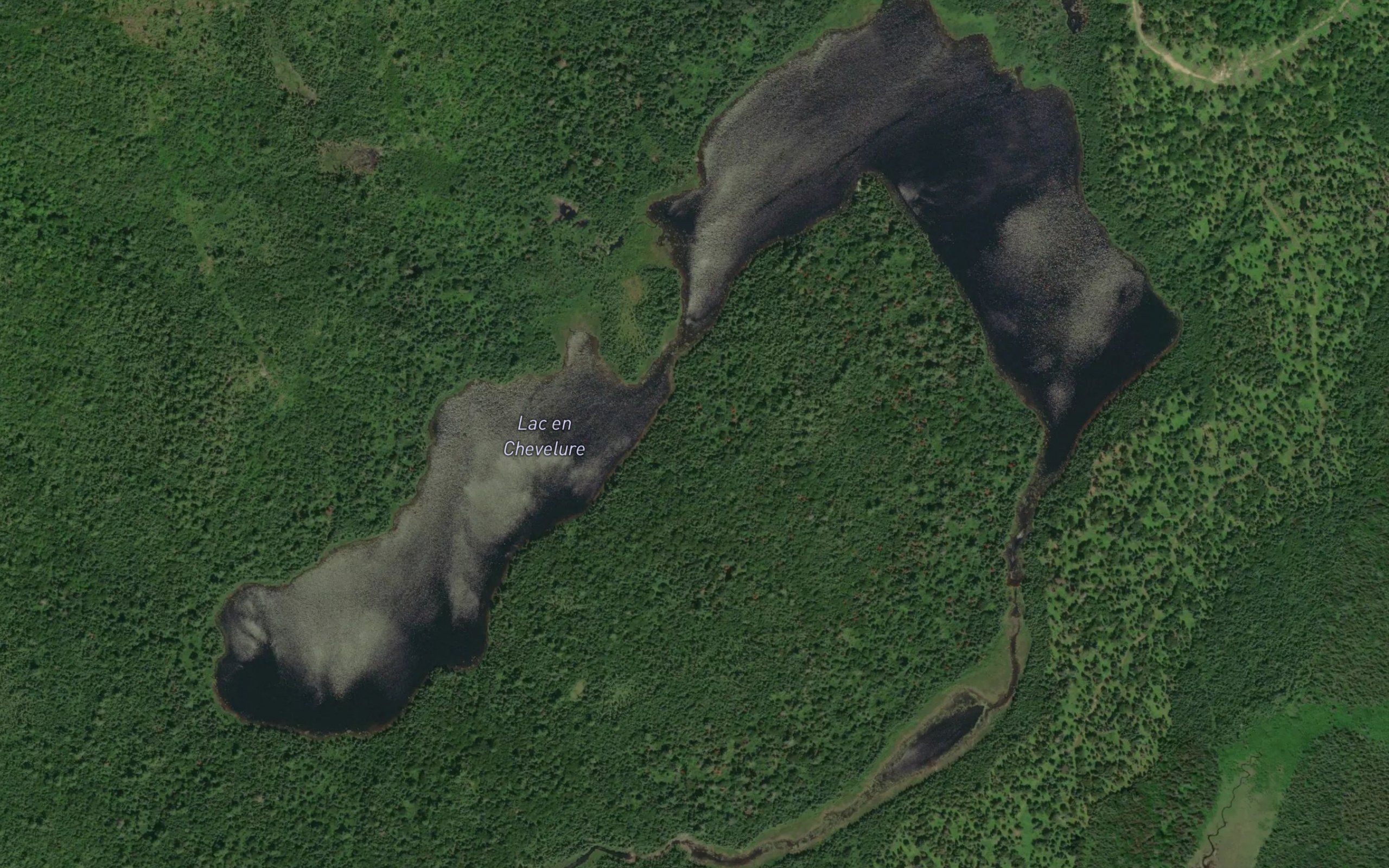 Lac en Chevelure