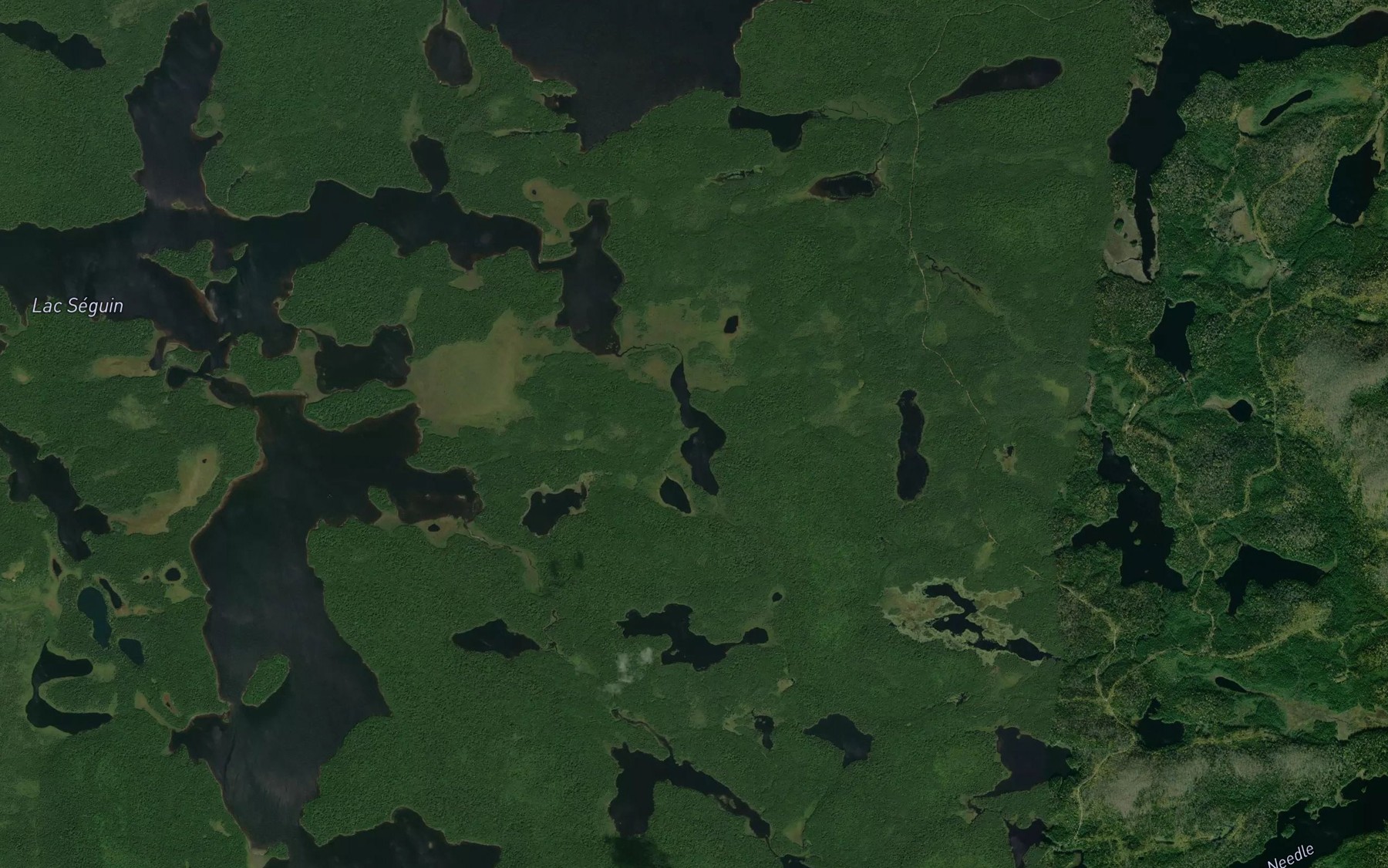 Satellite map of the Lac du Chevalier de Neige