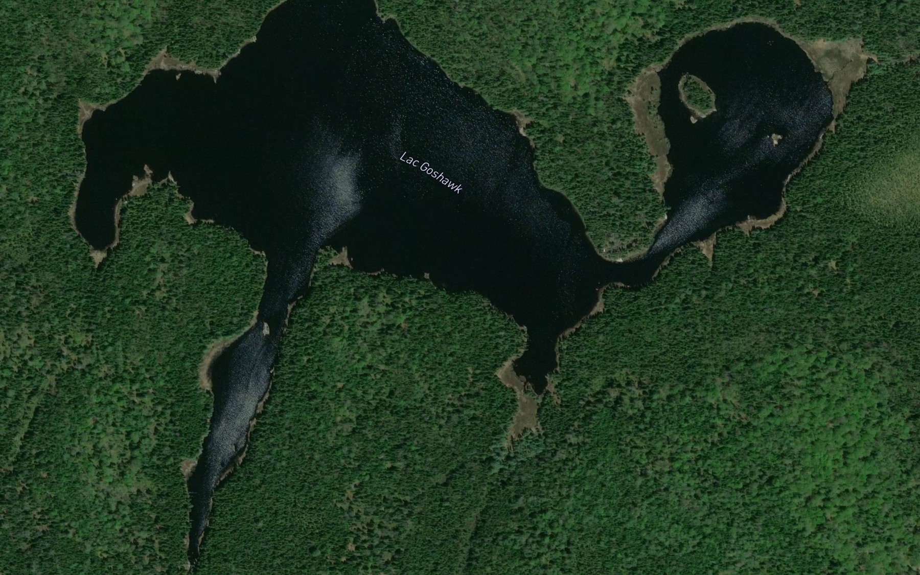 Satellite map of the Lac Goshawk