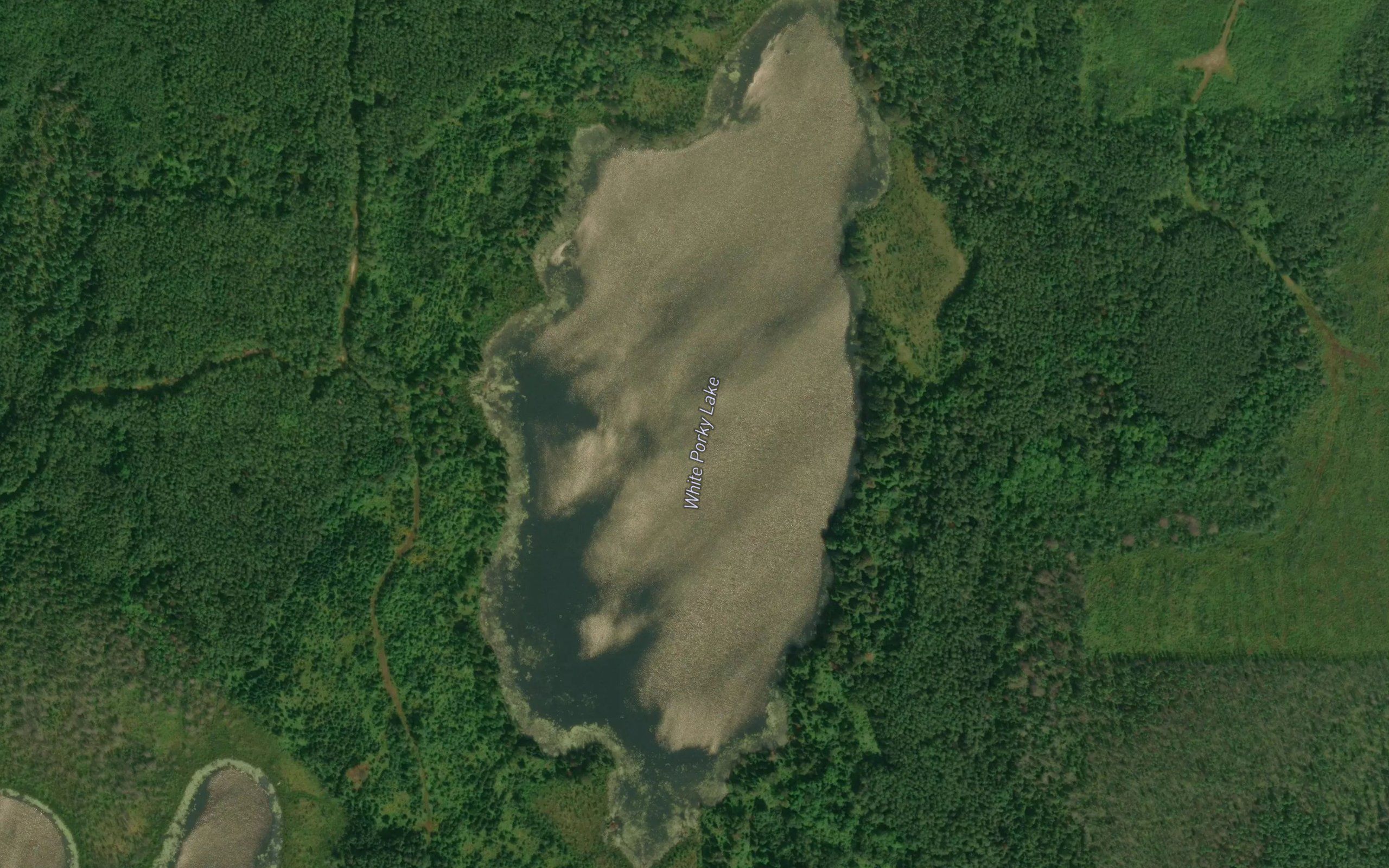 White Porky Lake