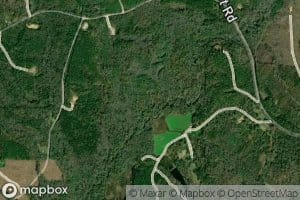 Chicken Swamp Branch