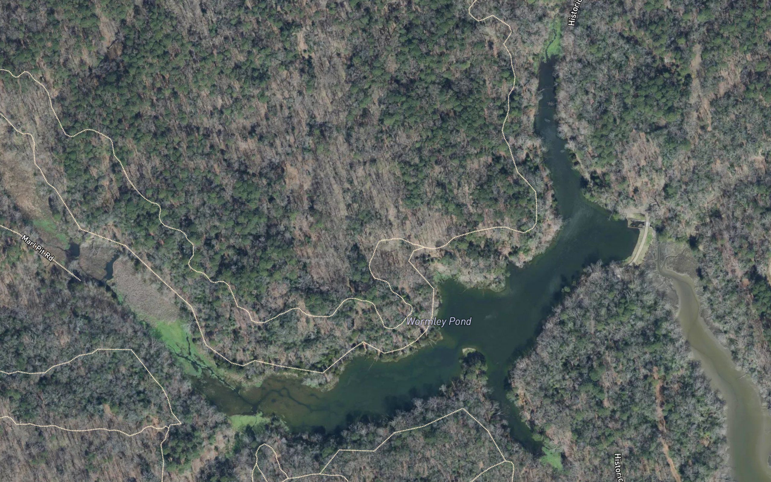 Wormley Pond