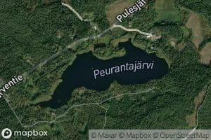 Peuranta