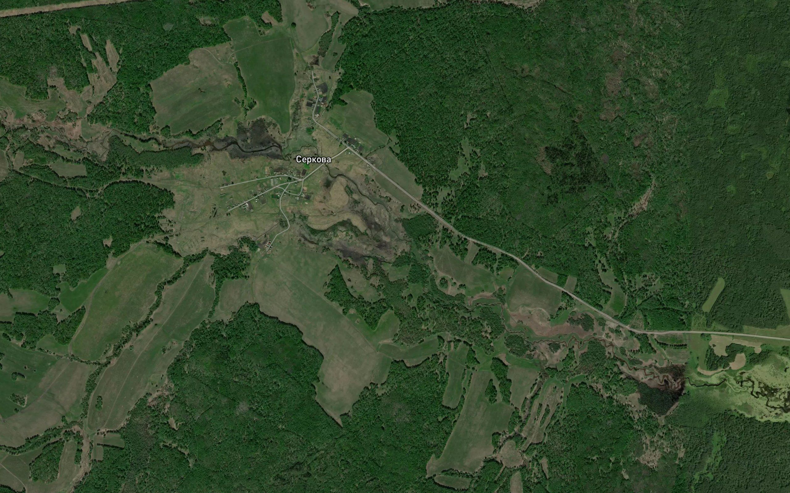 Podbornaya