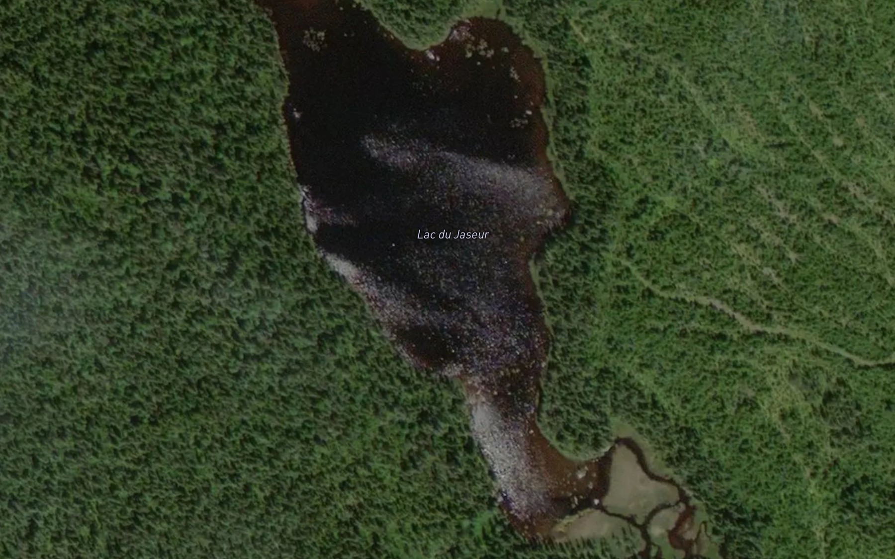 Satellite map of the Lac du Jaseur