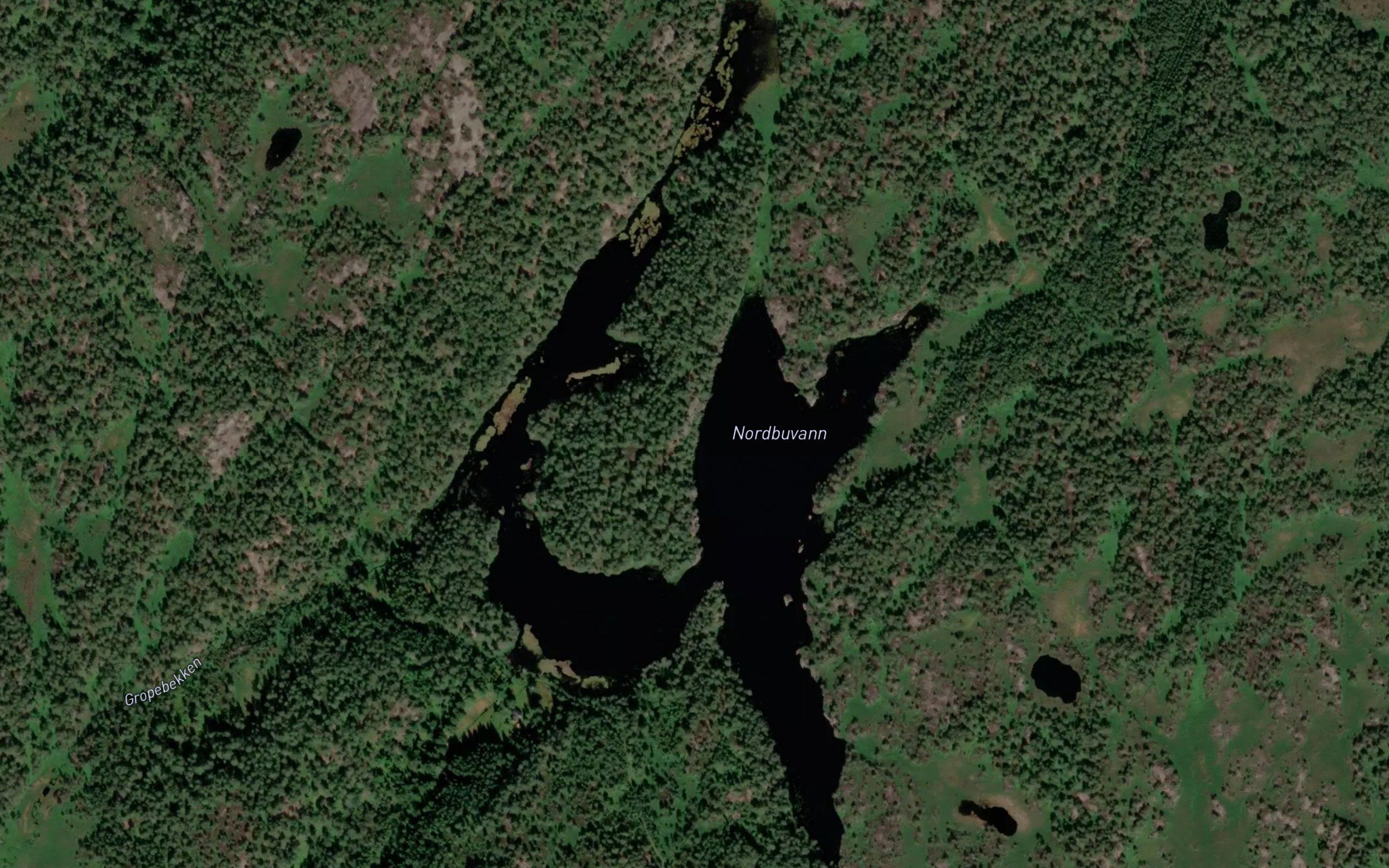 Nordbuvann