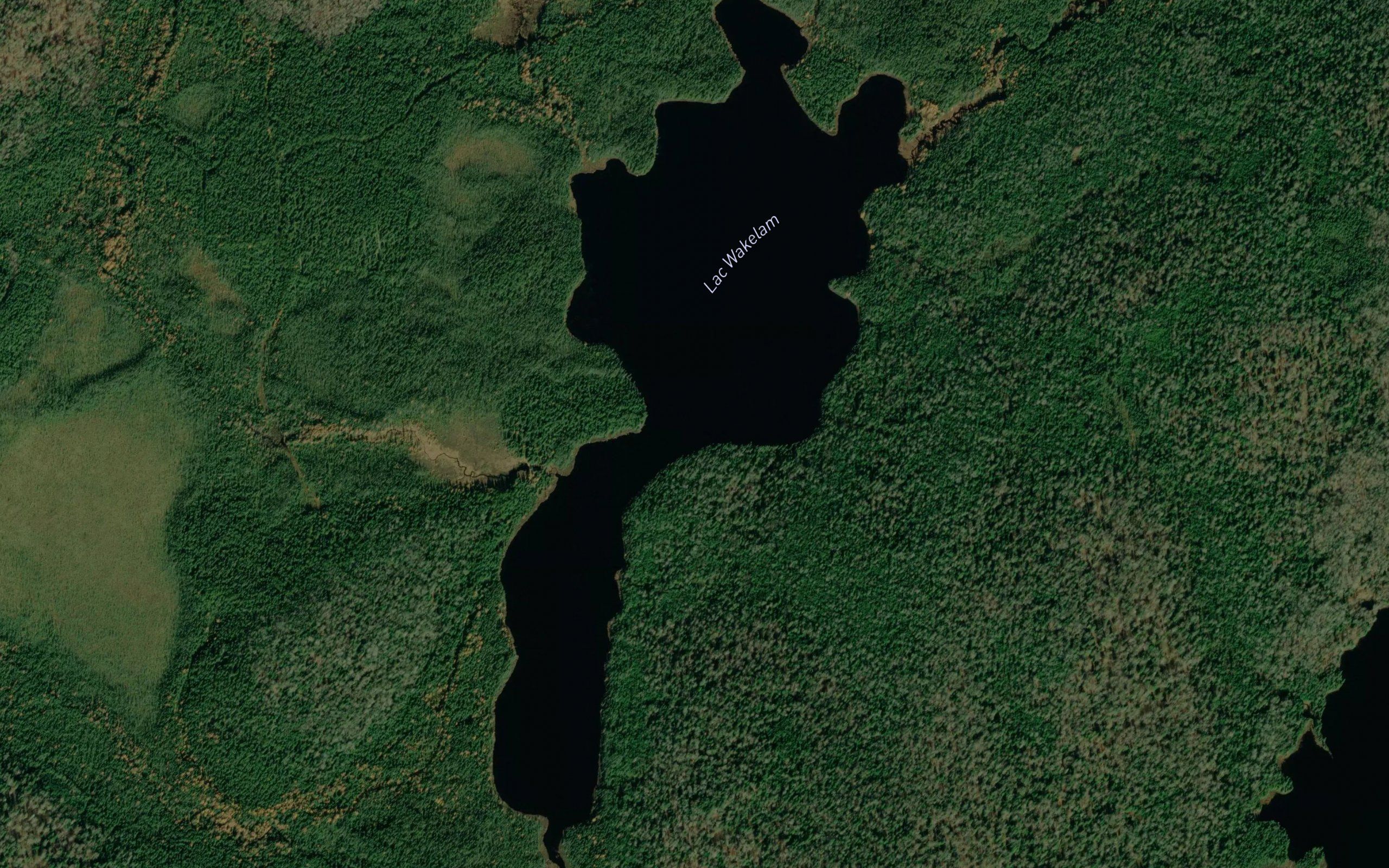 Lac Wakelam