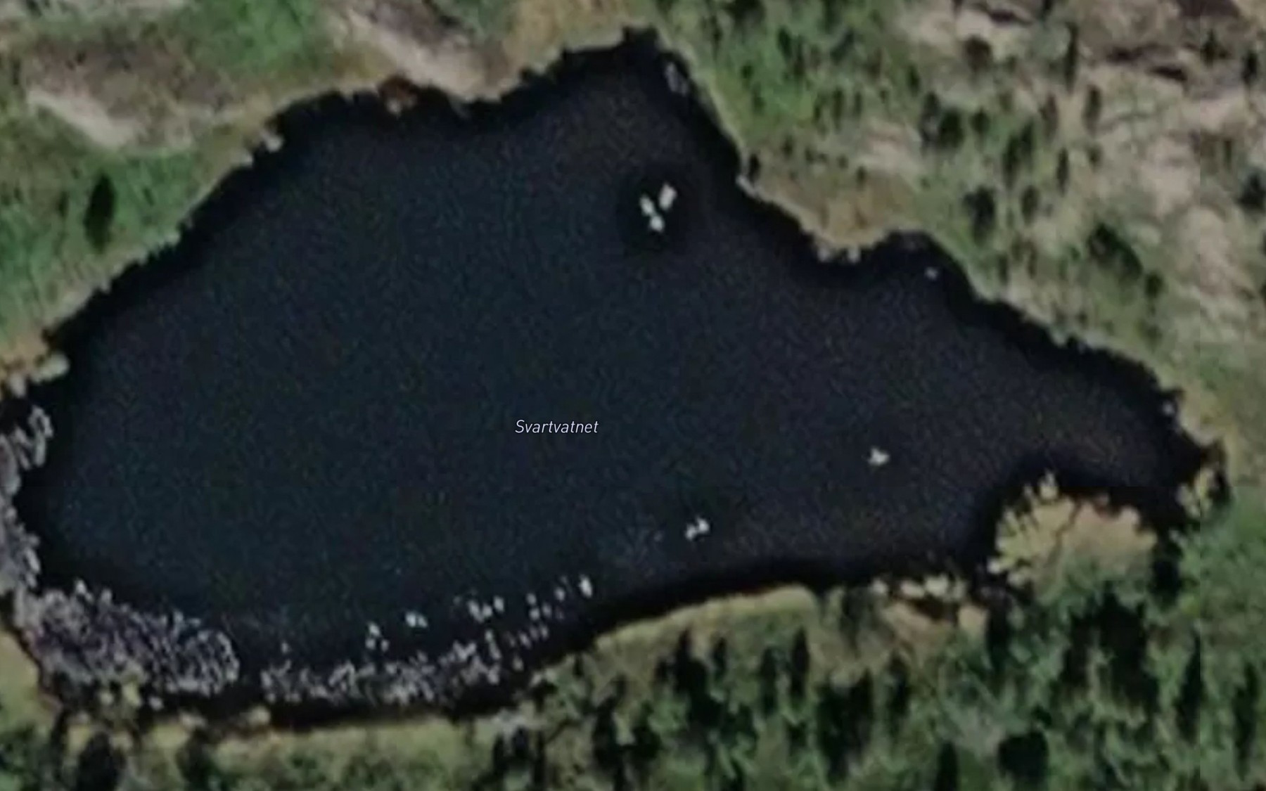 Satellite map of the Svartvatnet