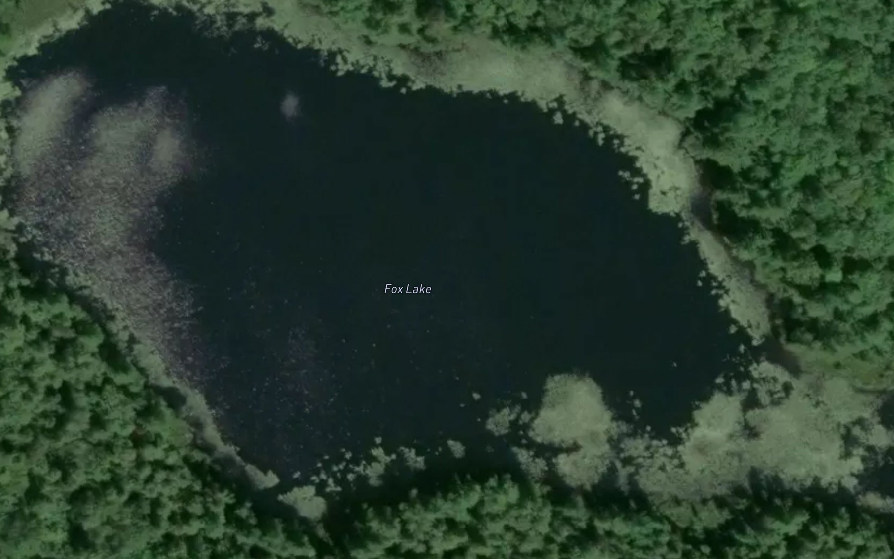 Satellite map of the Fox Lake