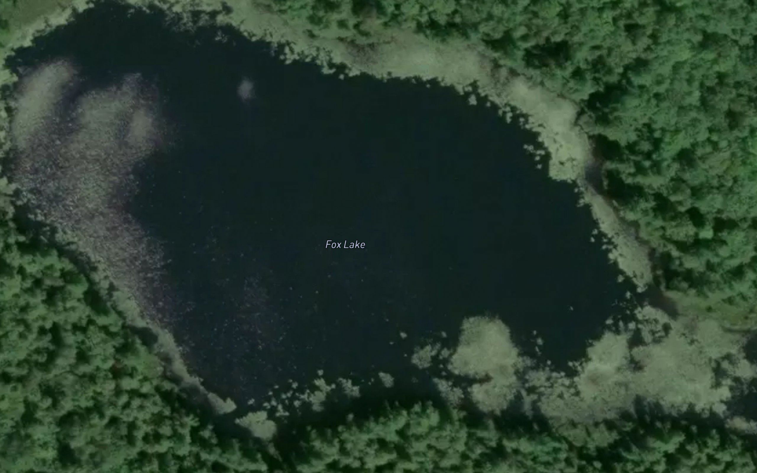 Fox Lake