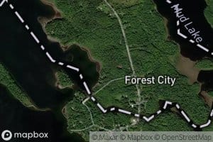 Forest City Stream