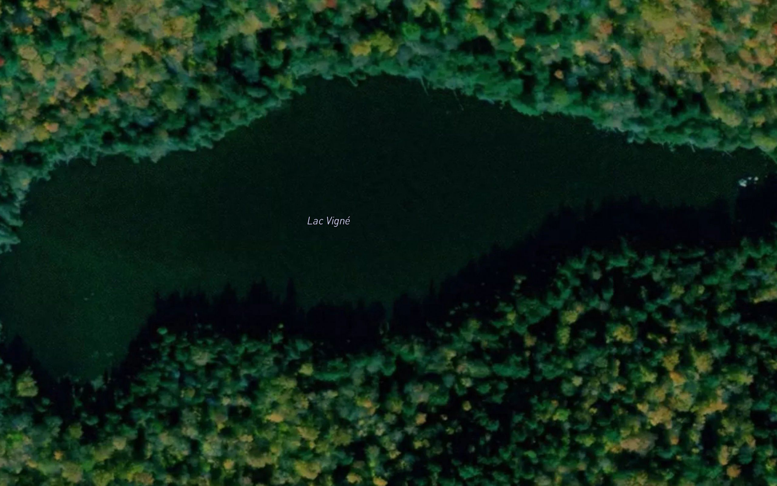 Lac Vigne