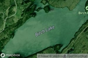 Birch Lake
