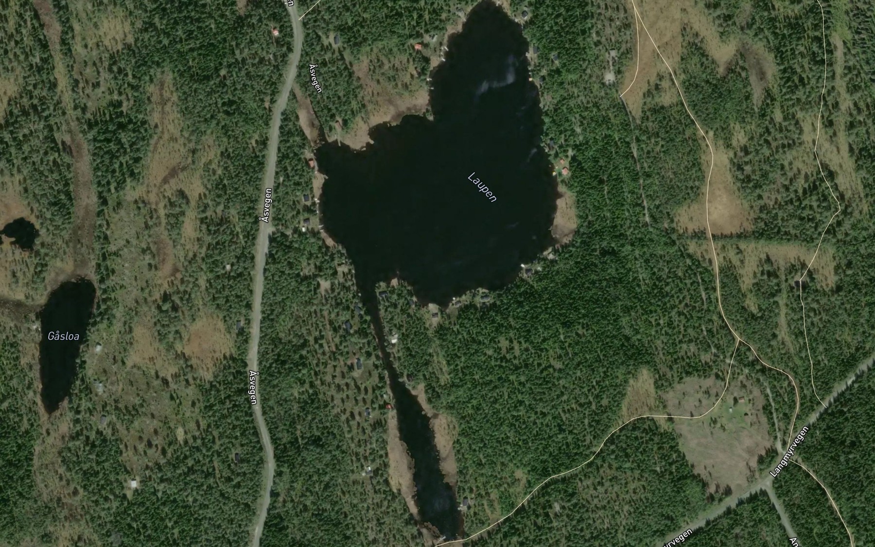 Satellite map of the Laupen
