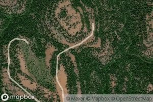 Saddle Spring