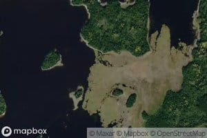 Gynane Bay