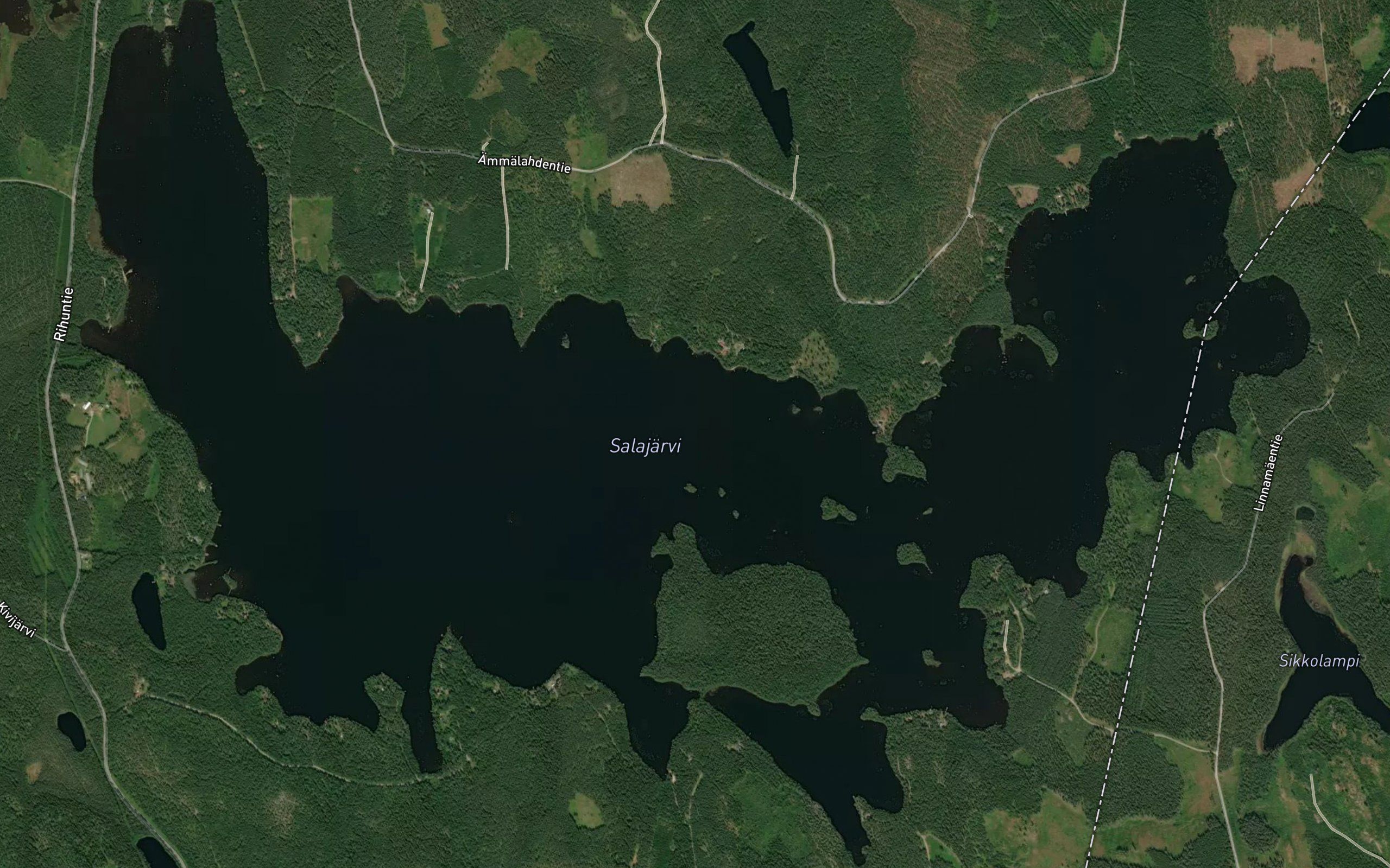 Kaakonsyva