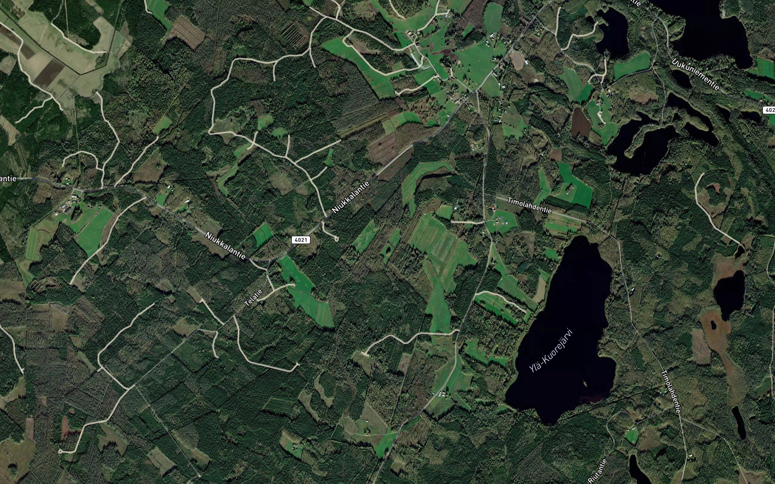 Heinjoki
