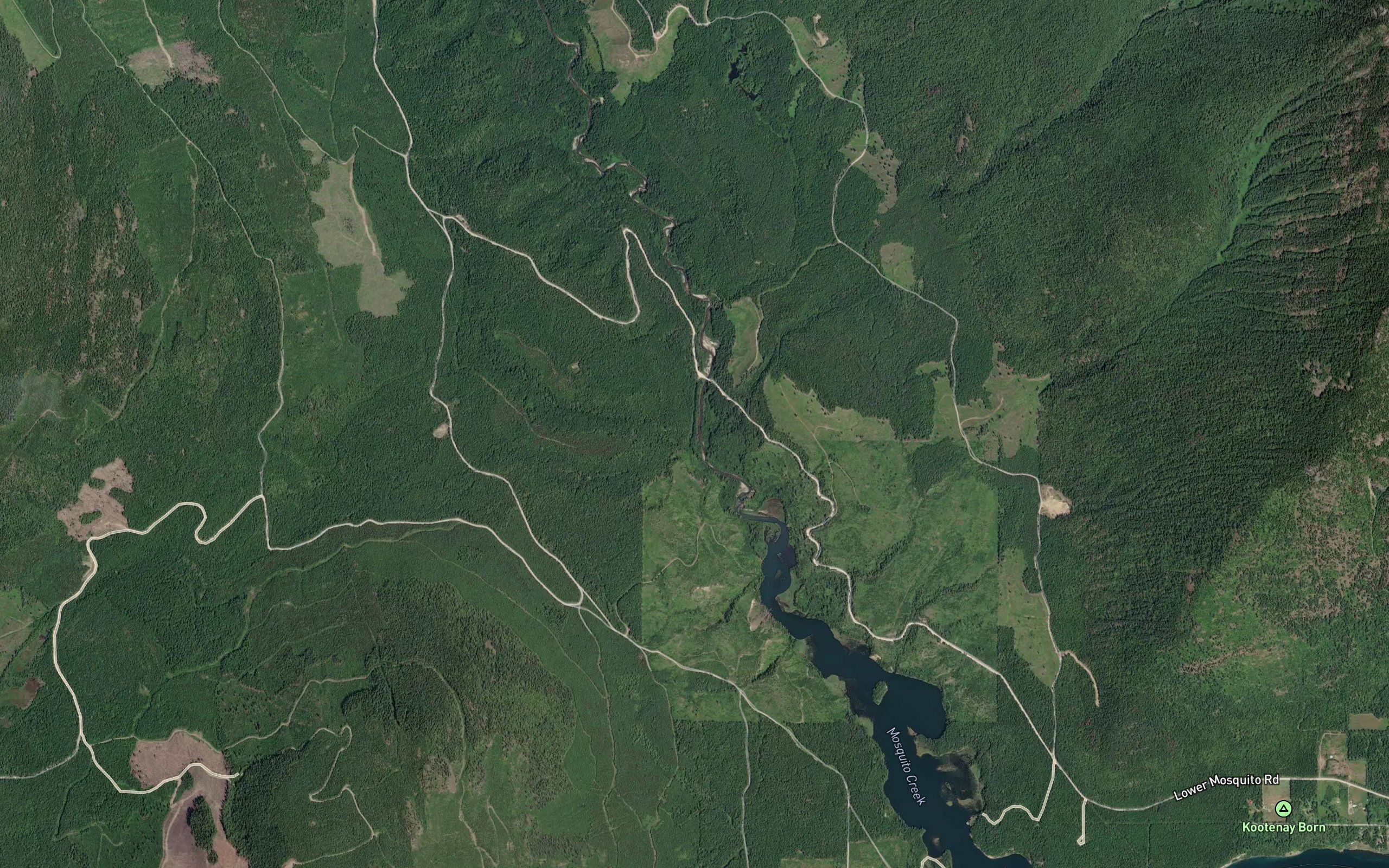 Bergman Creek