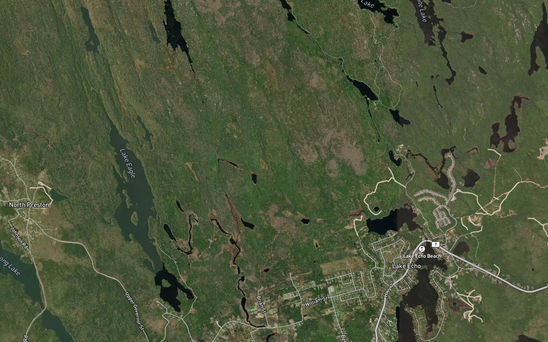 Satellite map of the Samson Carter Pond