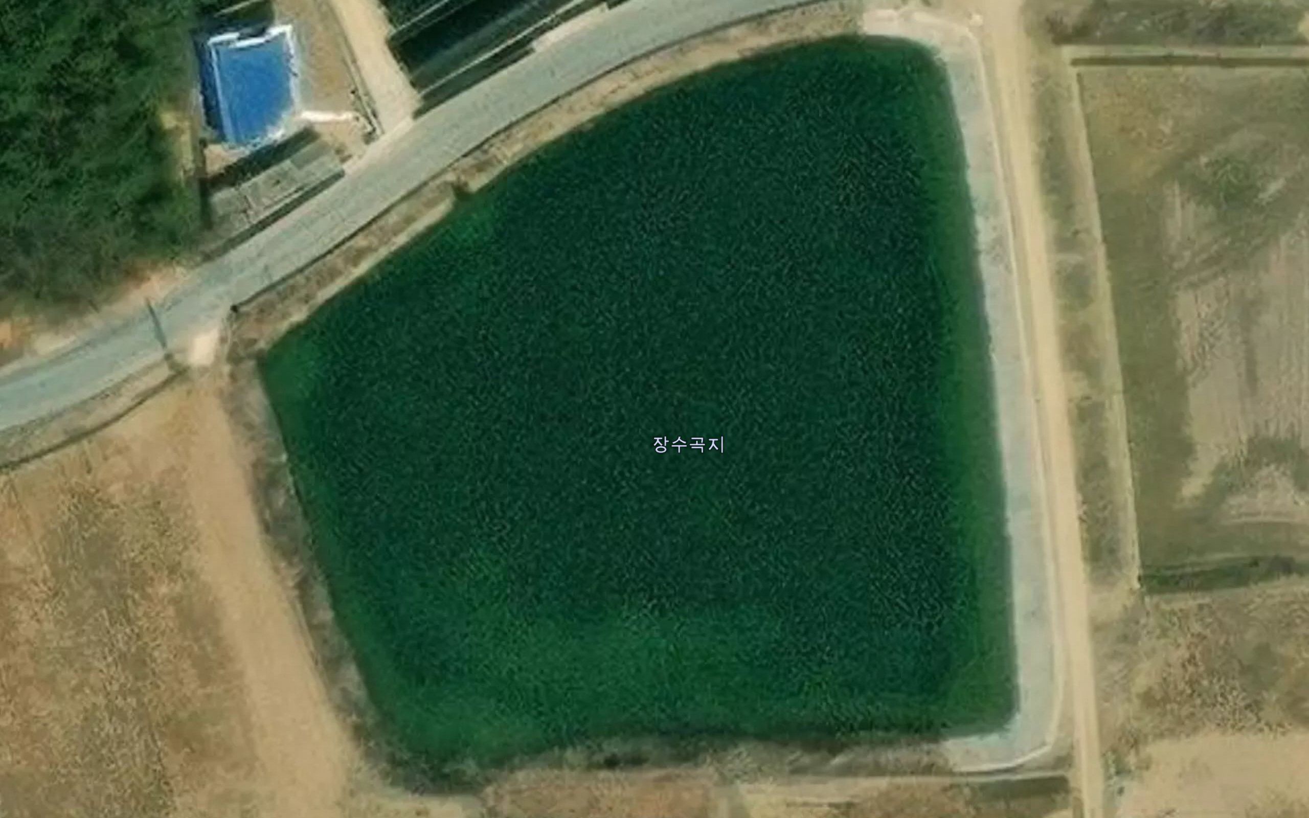 Jangjuji