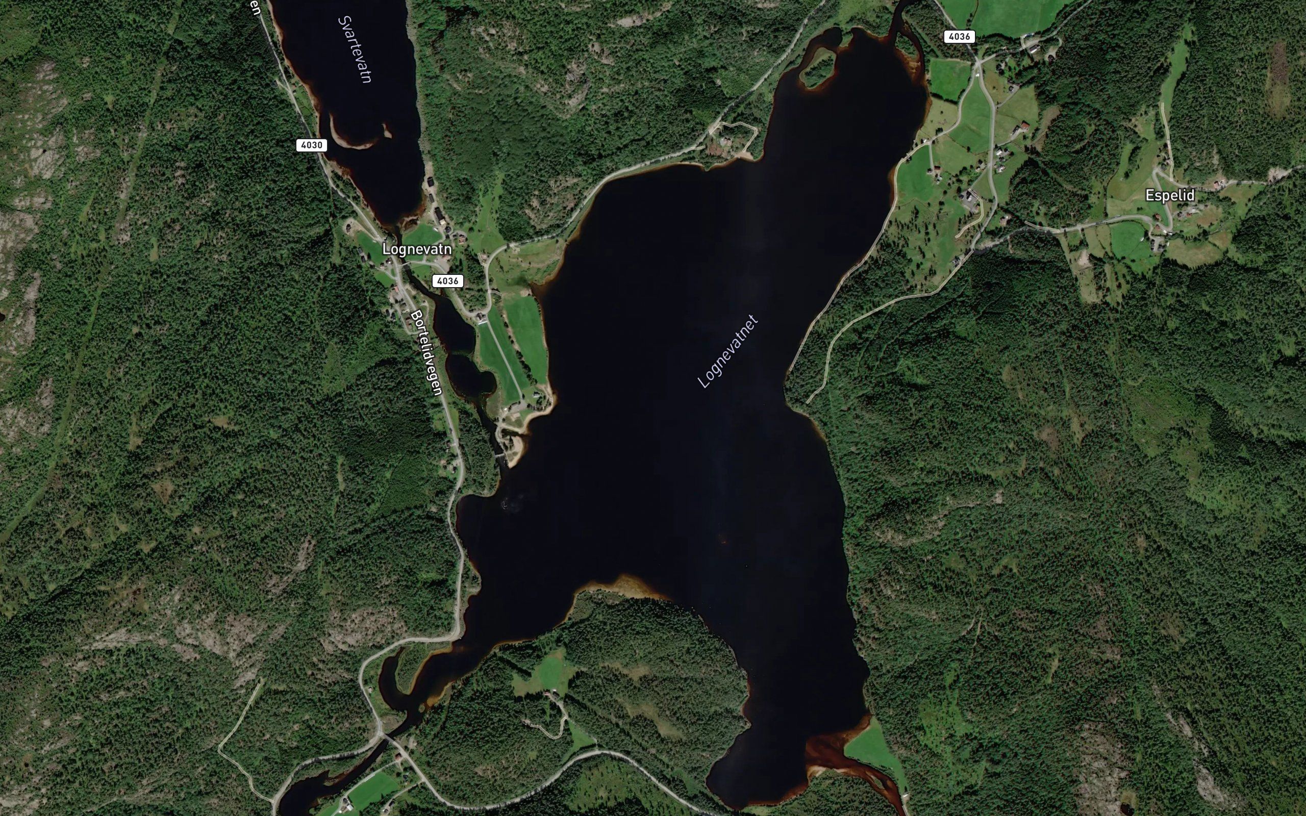 Lognevatnet
