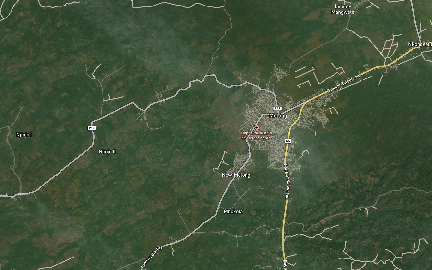 Satellite map of the Ngoedi